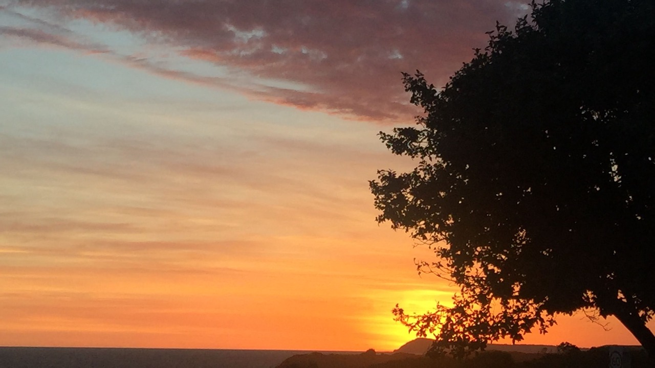 Photo of Outdoor in Kilcunda