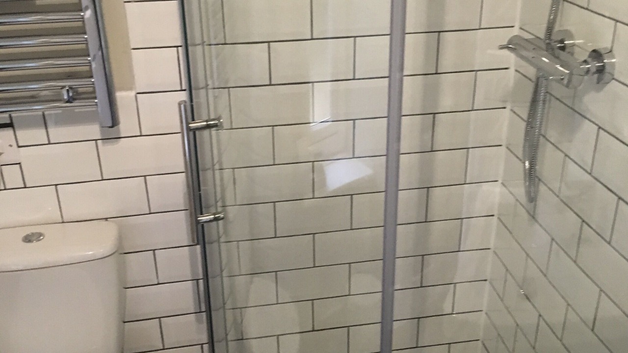 Photo of Others in New Forest District