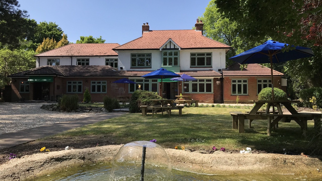 Photo of Outdoor in New Forest District