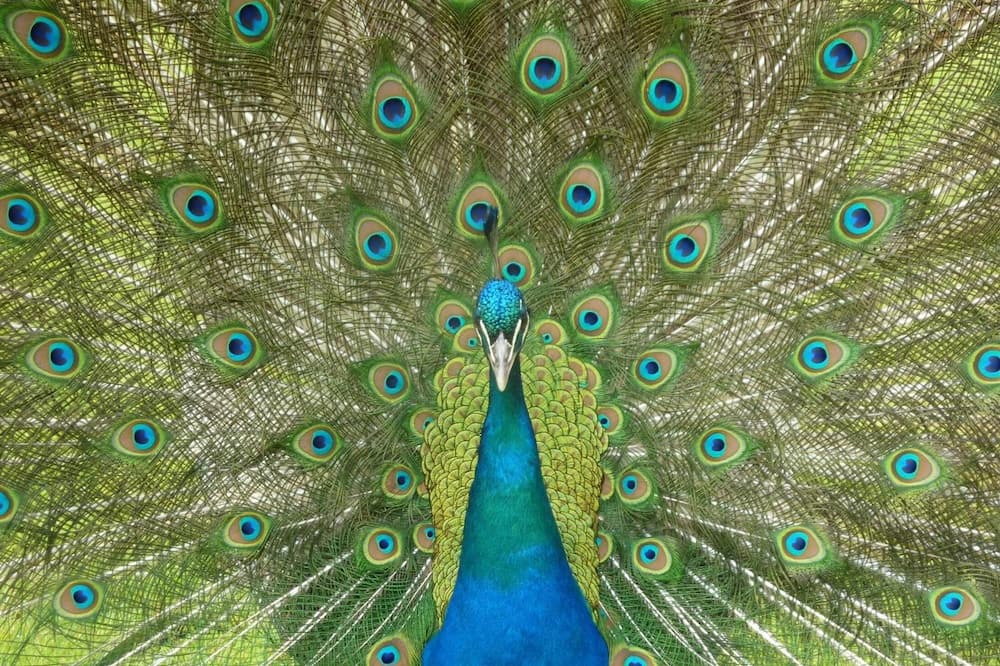 Photo of Others in Fretigney-et-Velloreille