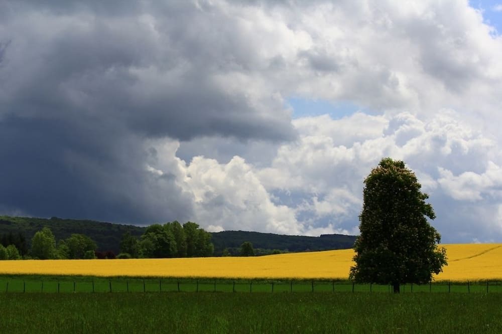Photo of Others in Fretigney-et-Velloreille