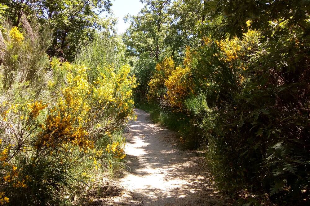Photo of Outdoor in Cercedilla