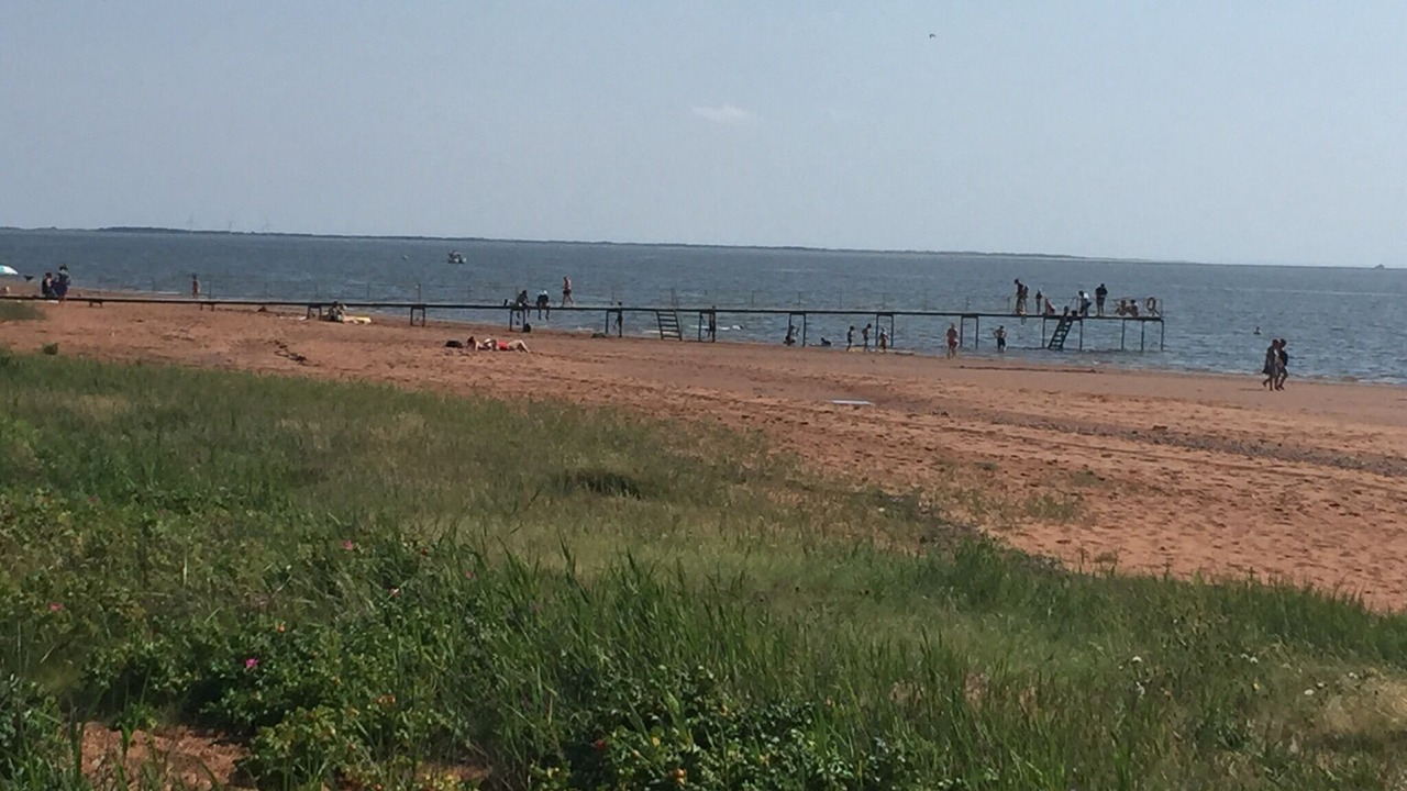Photo of Others in Hjerting