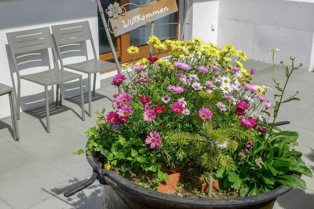 Photo of Outdoor in Grindelwald