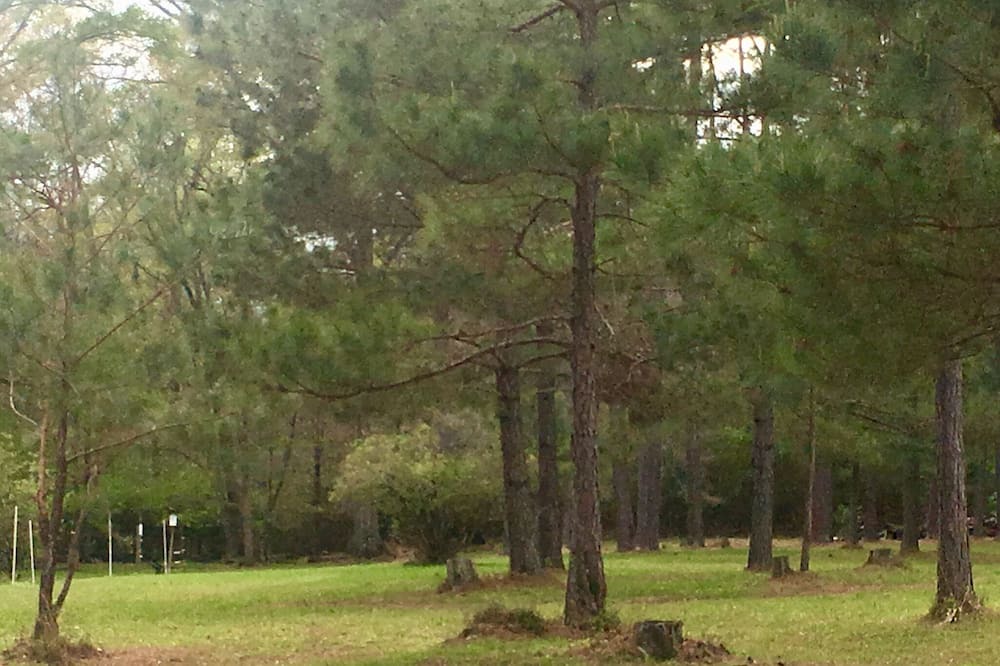 Photo of Others in Hattiesburg