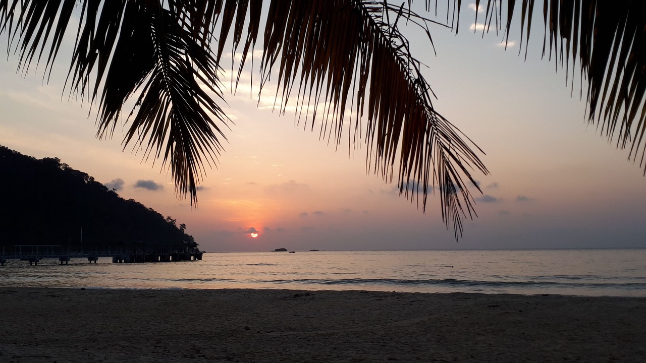 Photo of Others in Tioman Island