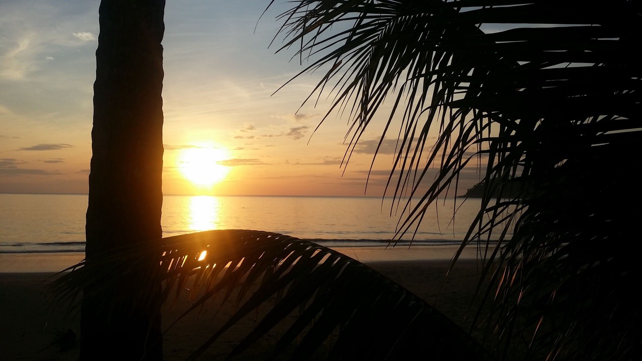 Photo of Others in Tioman Island