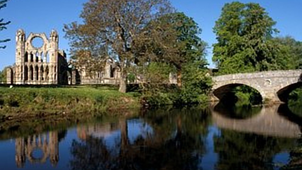 Photo of Others in Elgin