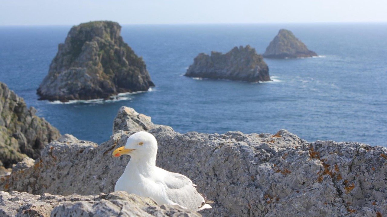 Photo of Others in Crozon