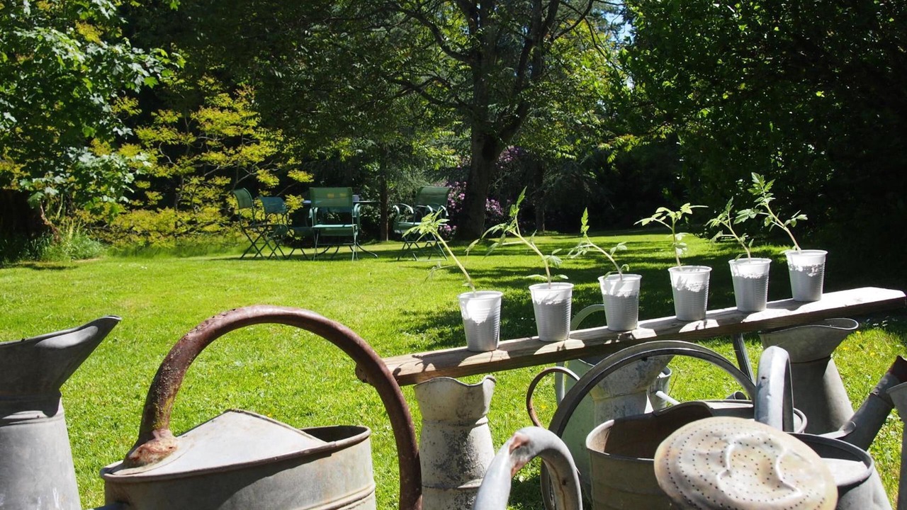 Photo of Outdoor in Sixt-sur-Aff