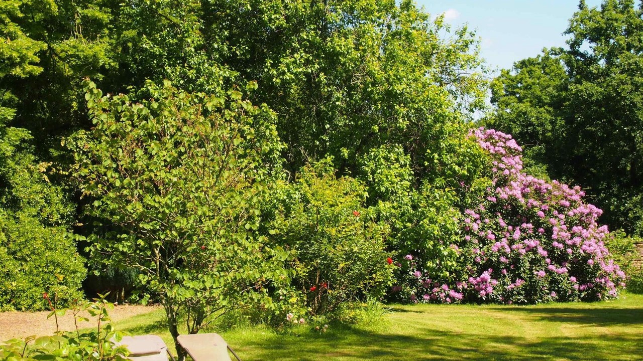 Photo of Outdoor in Sixt-sur-Aff