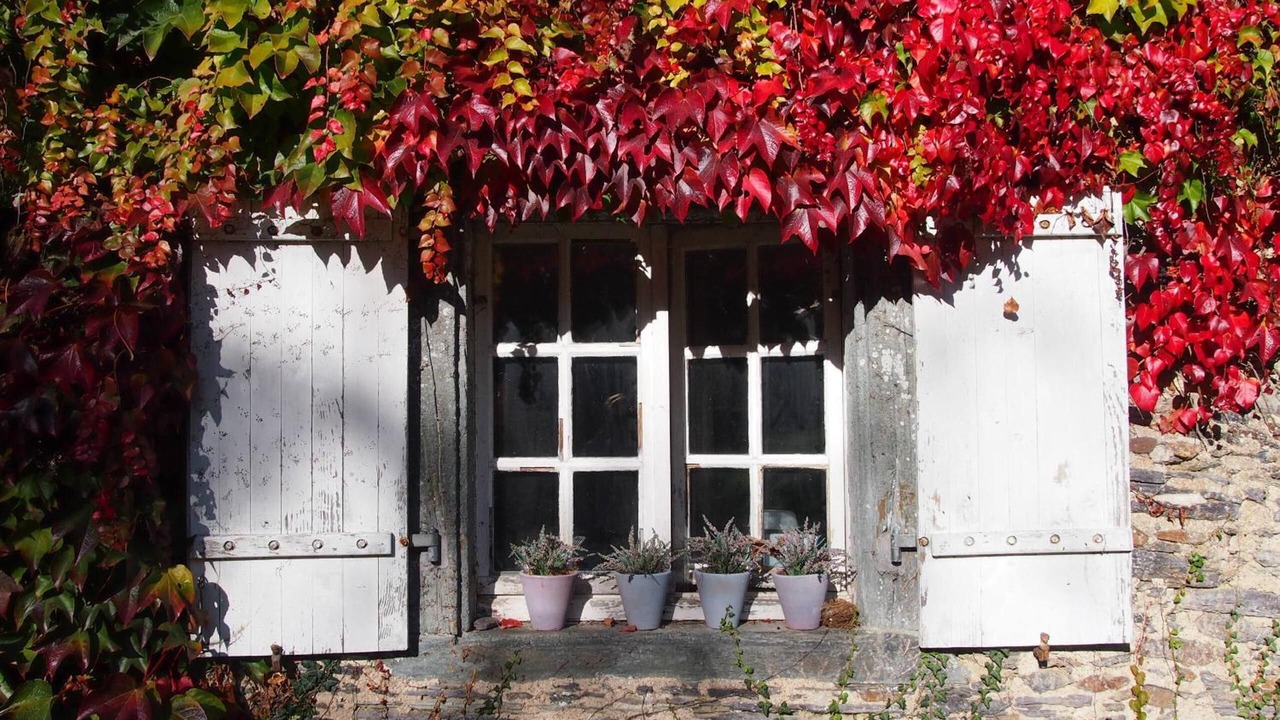 Photo of Outdoor in Sixt-sur-Aff