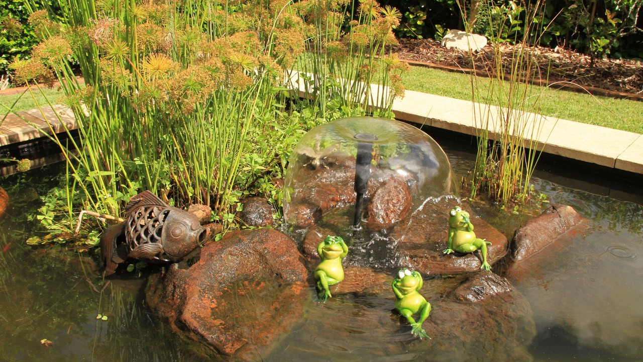 Photo of Outdoor in Maleny