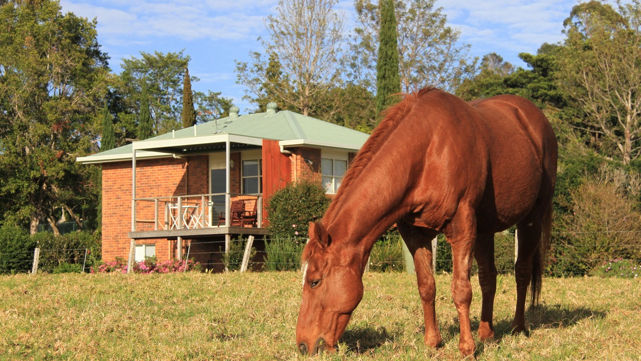 Photo of Others in Maleny
