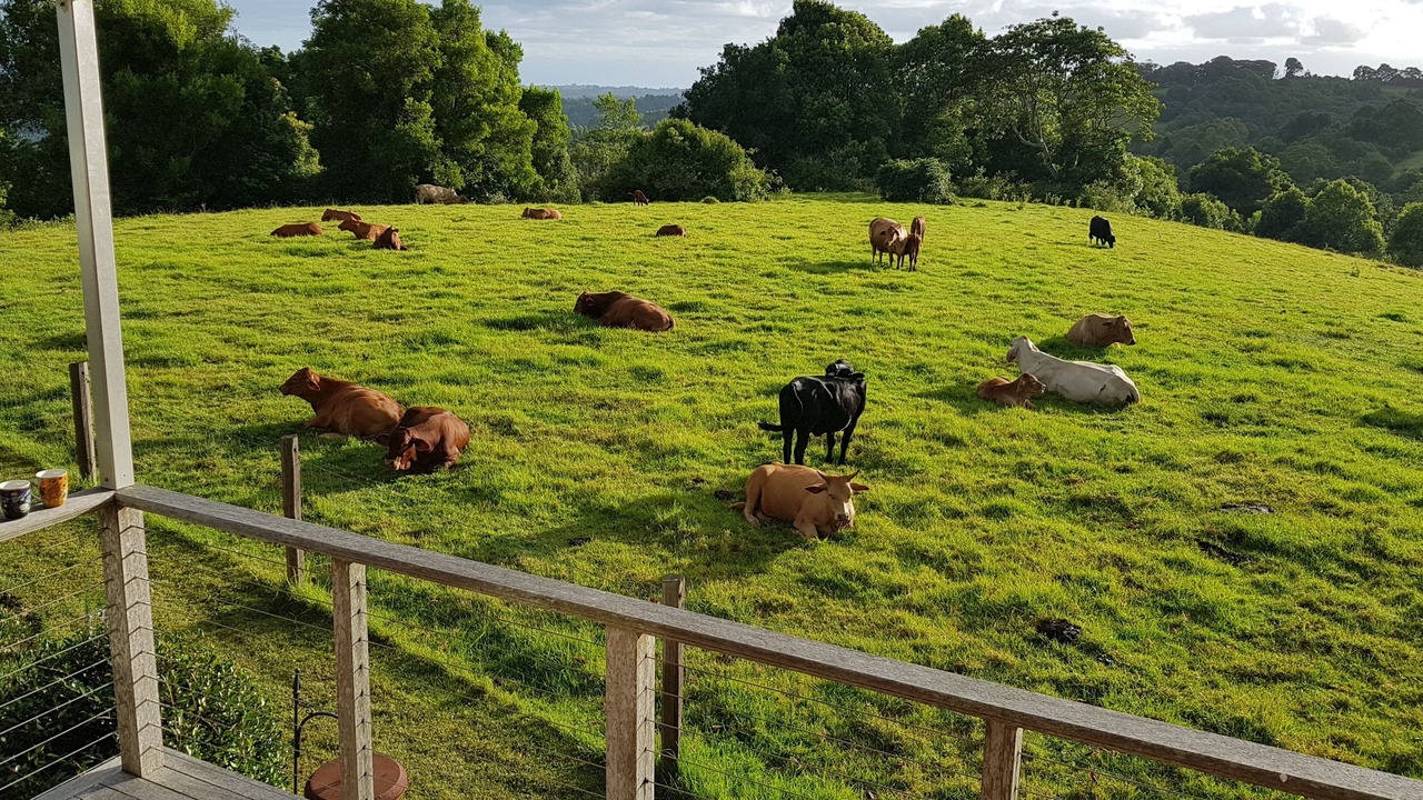 Photo of Patio Balcony in Maleny