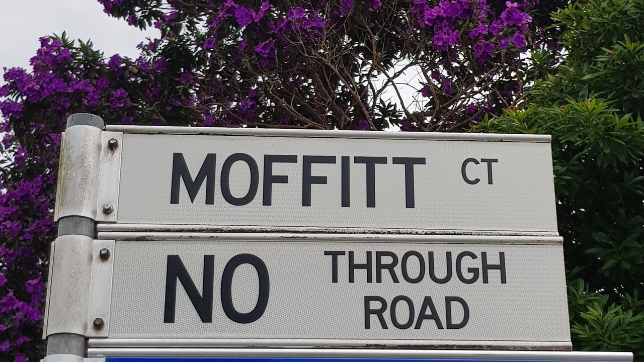 Photo of Outdoor in Maleny