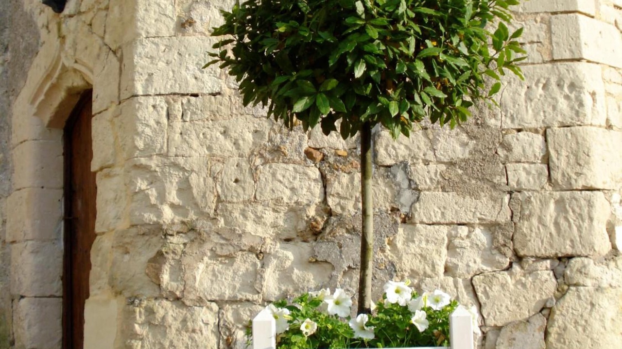 Photo of Outdoor in Louerre