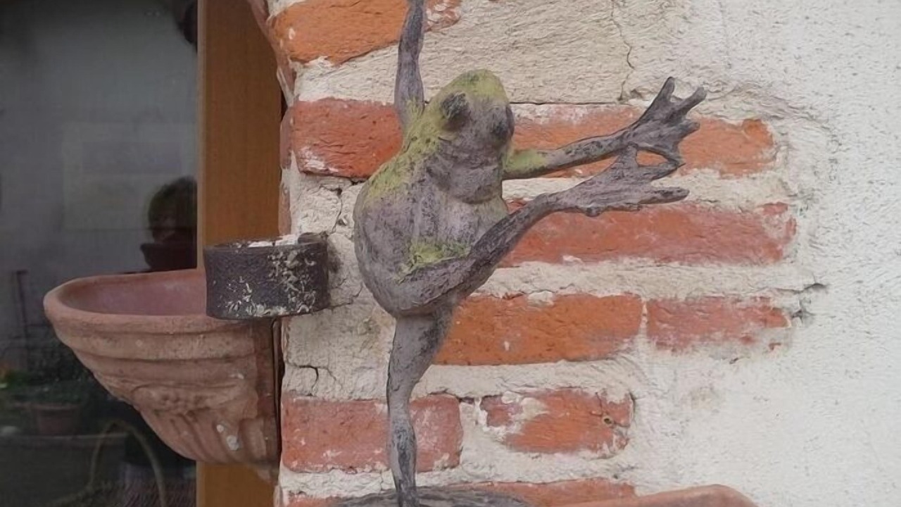 Photo of Outdoor in Meximieux