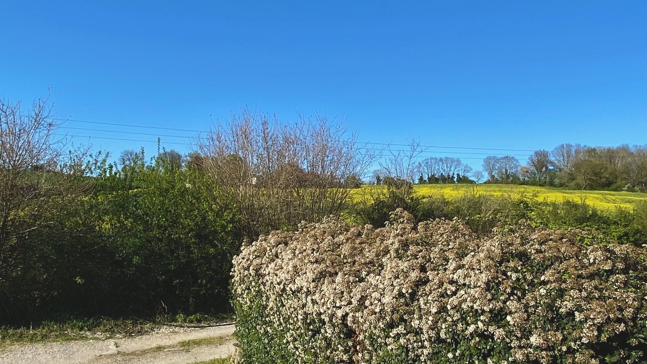 Photo of Outdoor in Meximieux