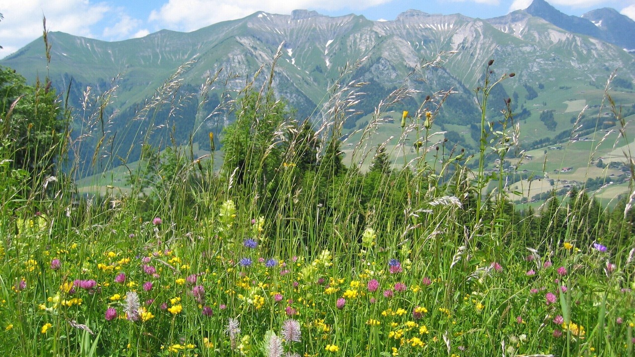 Photo of Outdoor in Chateau-d'Oex
