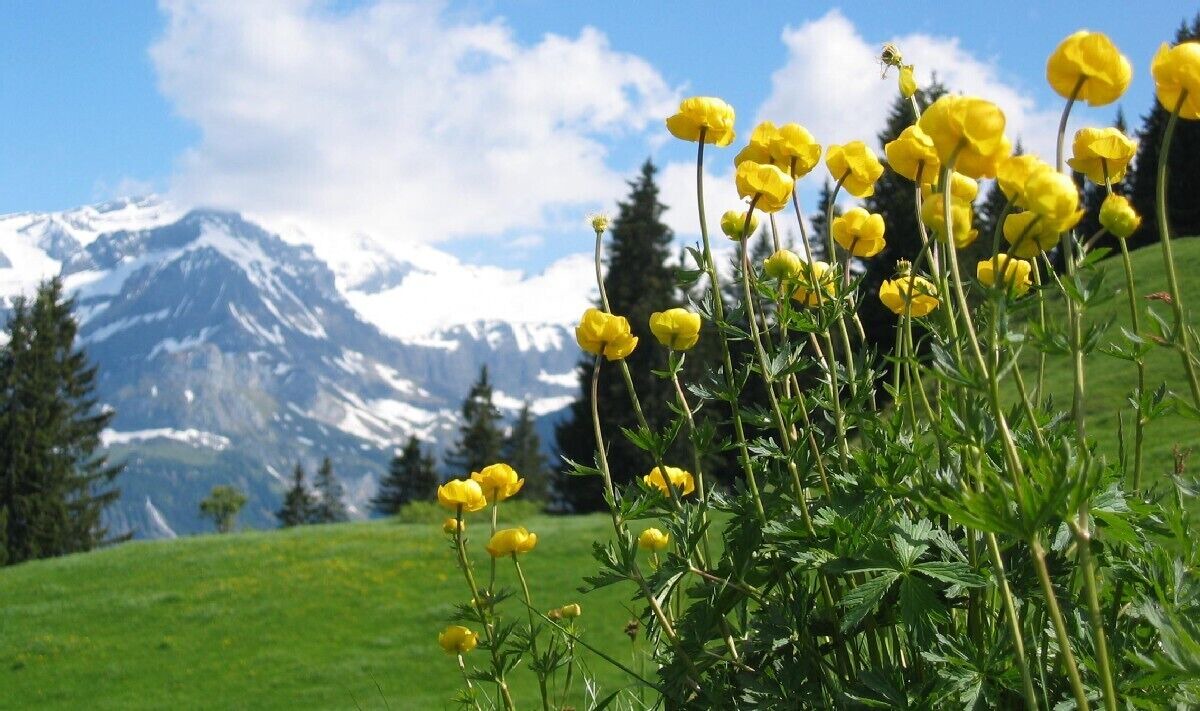 Photo of Outdoor in Chateau-d'Oex
