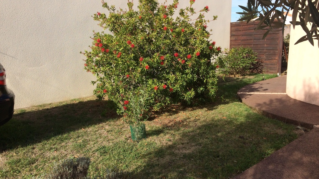 Photo of Outdoor in Olonne-sur-Mer