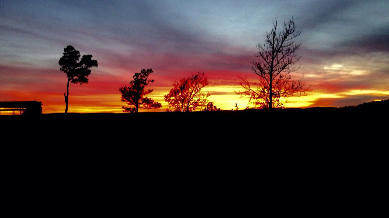 Photo of Outdoor in Newnata