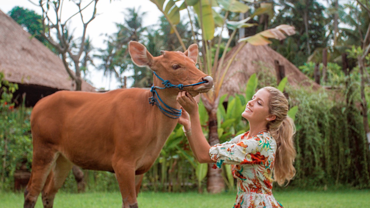 Photo of Outdoor in Keramas