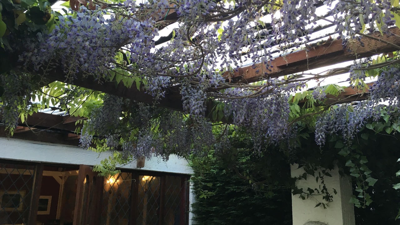 Photo of Outdoor in Dunstan