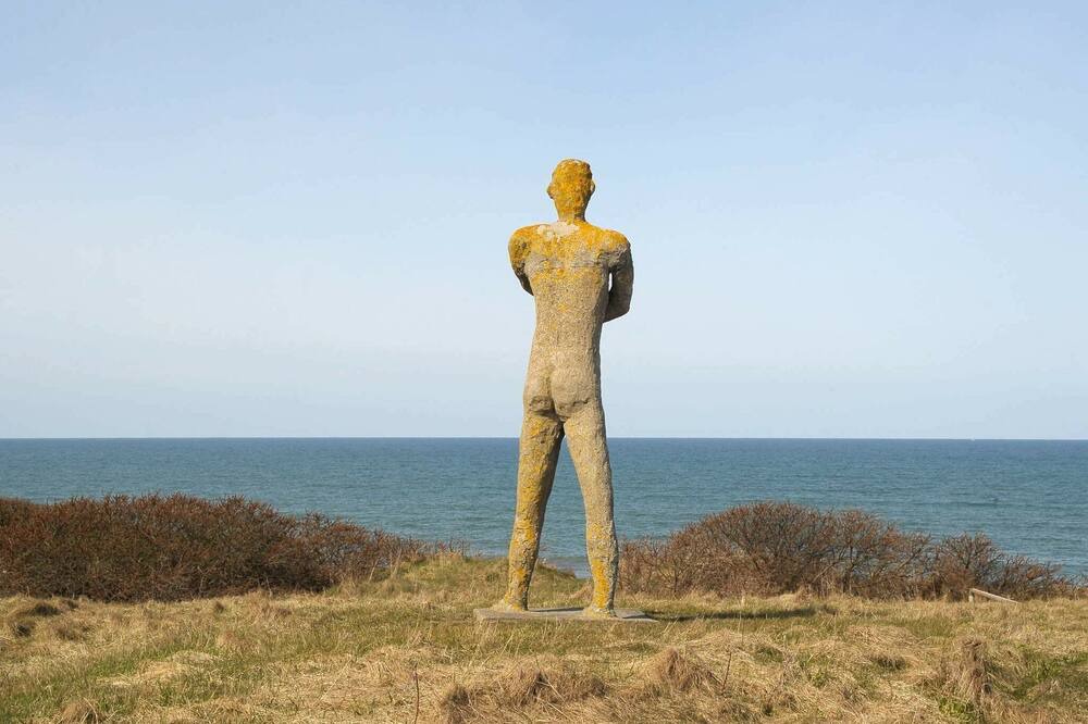 Photo of Others in Trans
