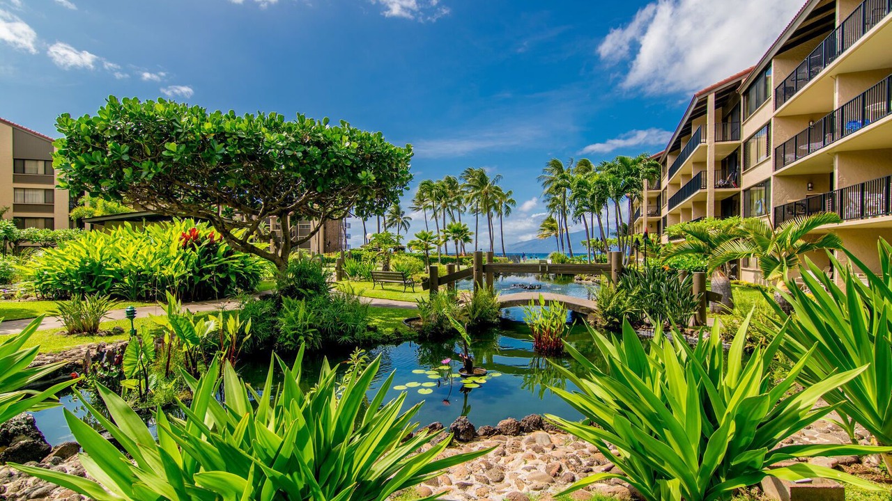 Photo of Outdoor in Honokowai