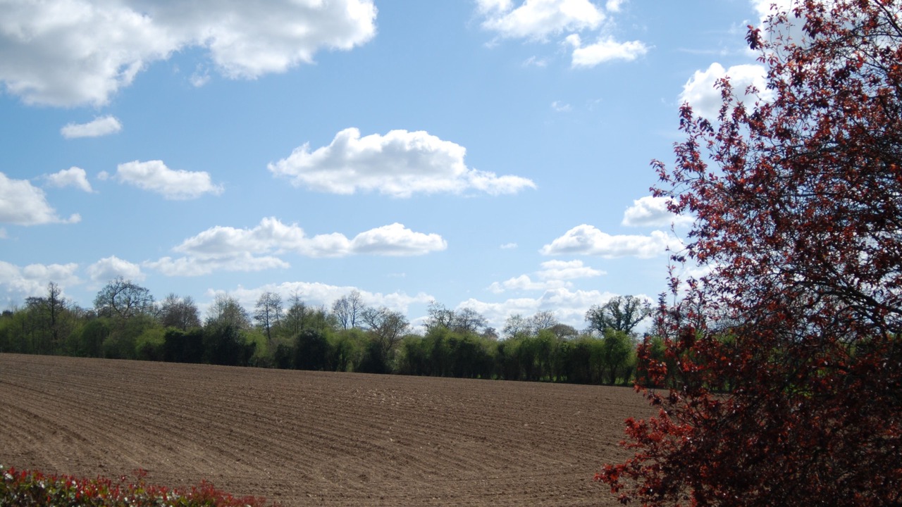 Photo of Outdoor in Saint-Amand