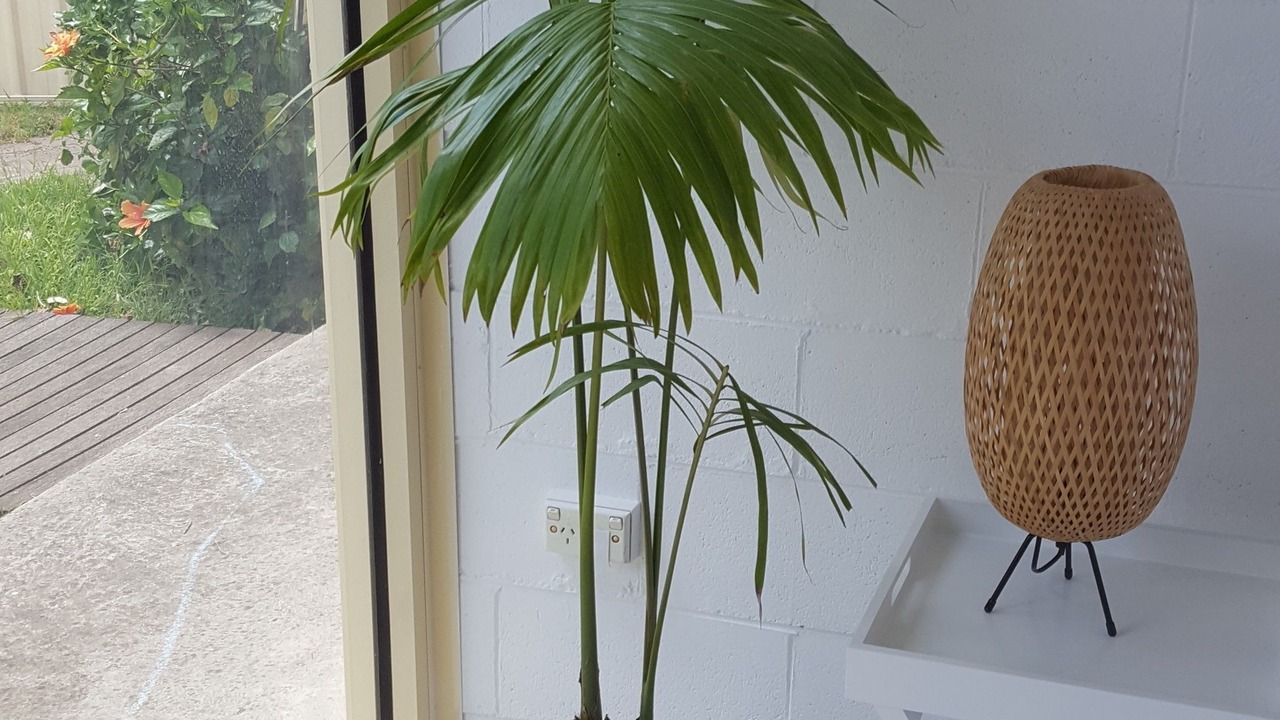 Photo of Others in Capel Sound