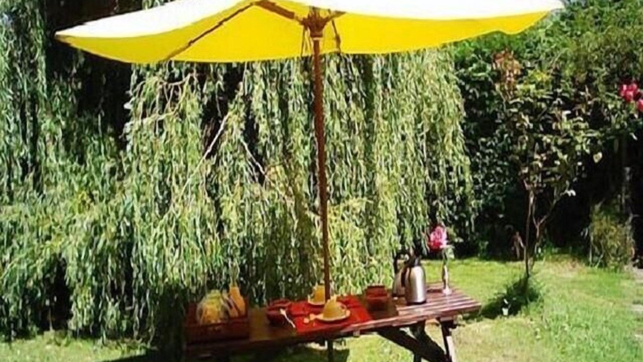 Photo of Outdoor in Fresney-le-Vieux