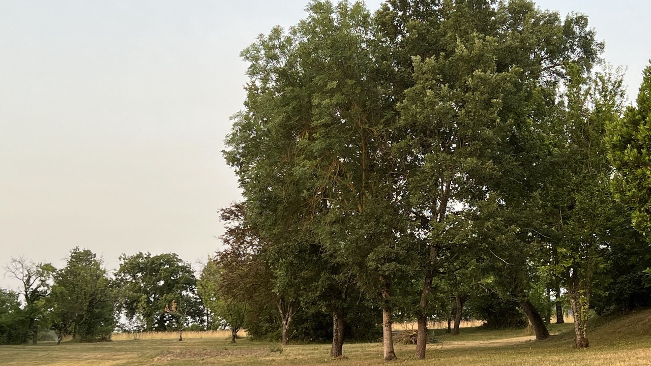 Photo of Outdoor in Aguts