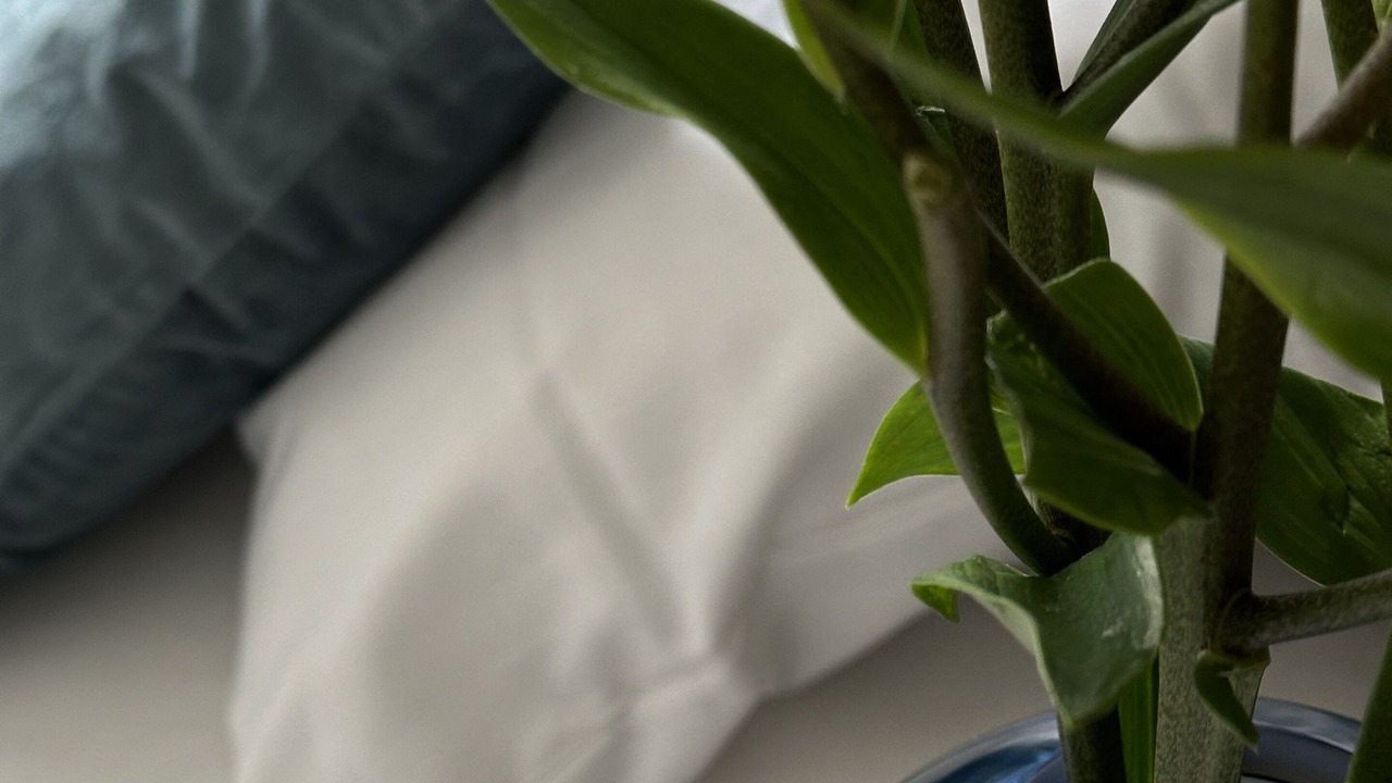 Photo of Others in Indre by