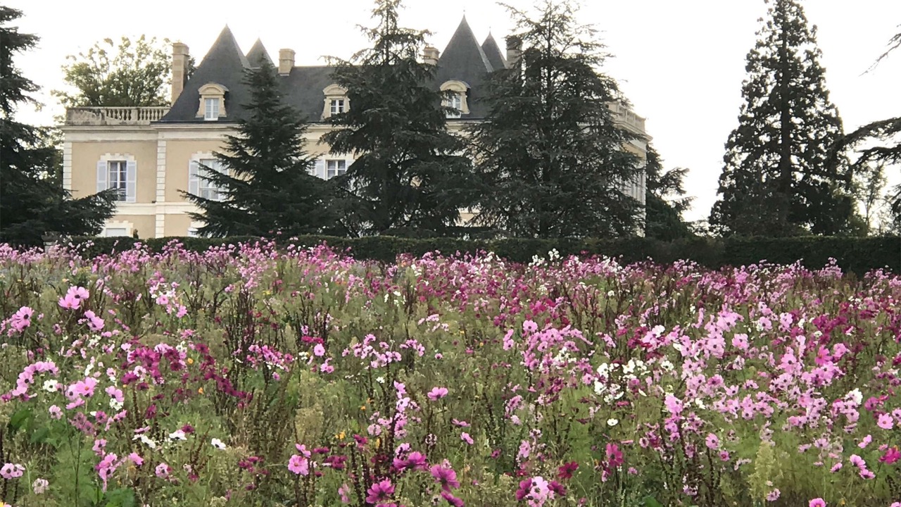 Photo of Outdoor in Notre-Dame-de-Sanilhac