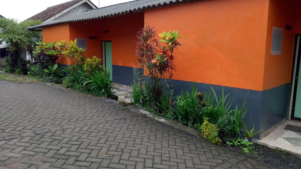 Photo of Outdoor in Banyuwangi