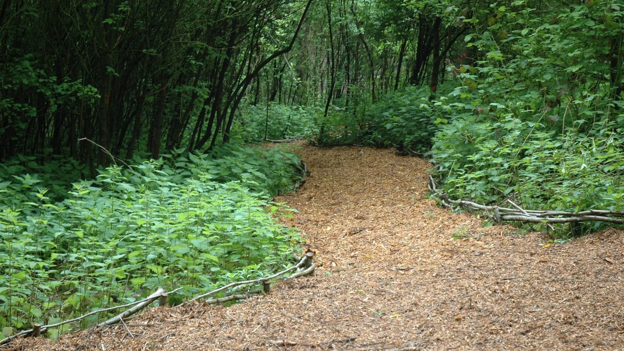 Photo of Outdoor in Troisvaux