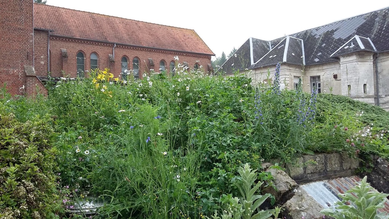 Photo of Outdoor in Troisvaux