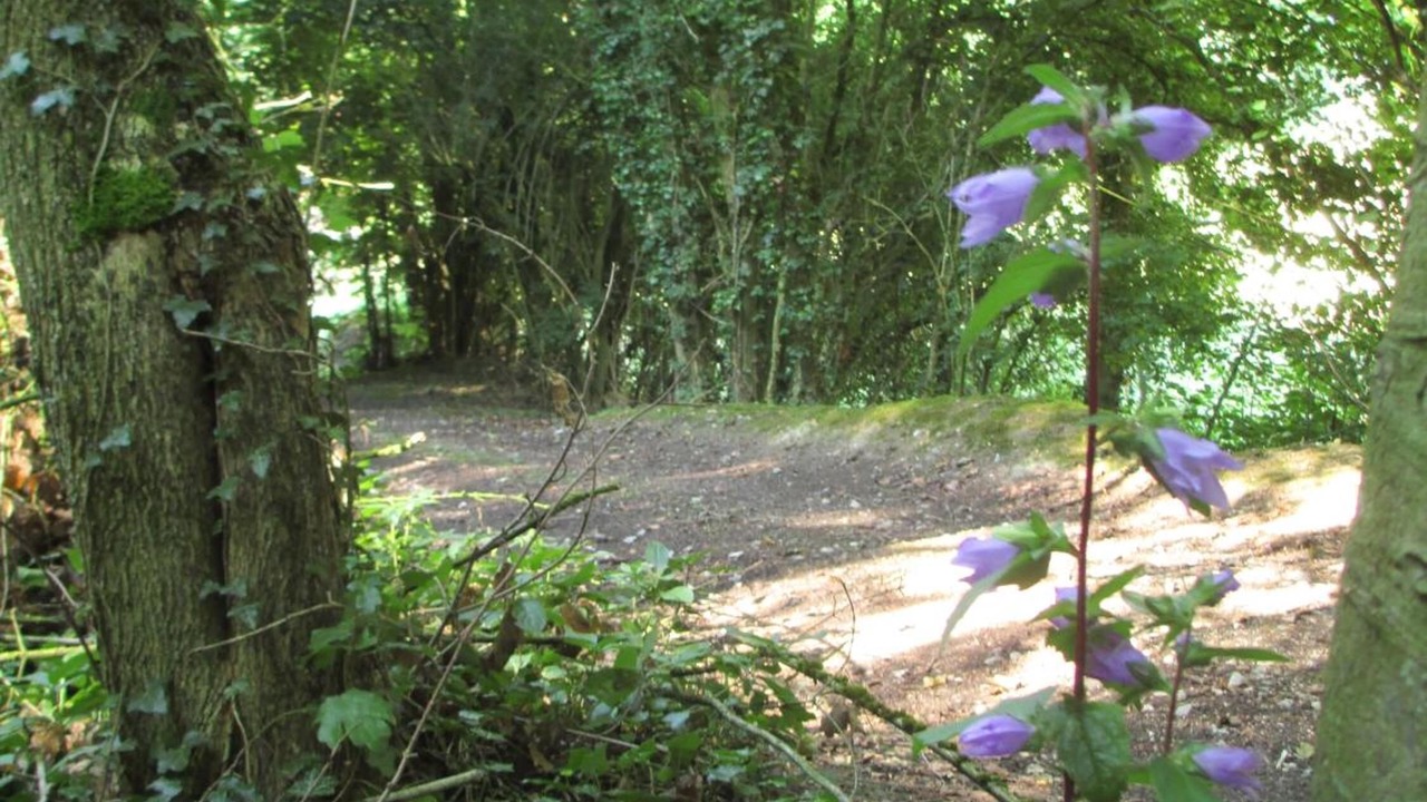 Photo of Outdoor in Troisvaux