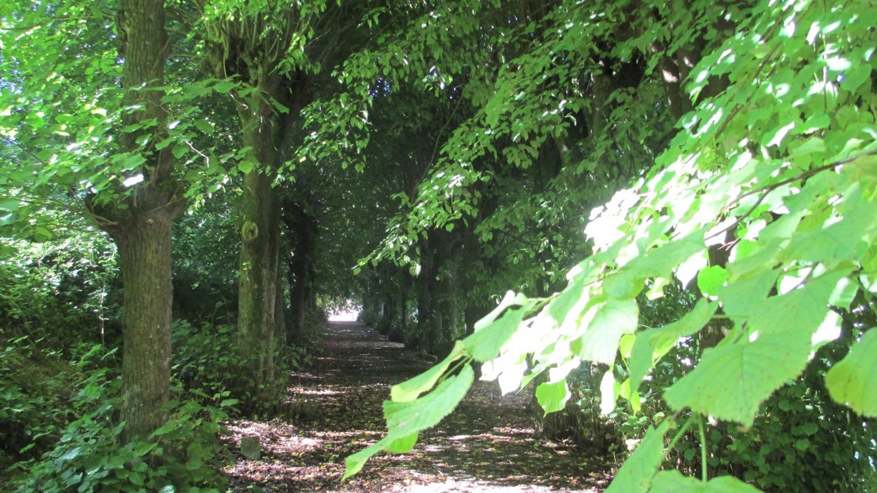 Photo of Outdoor in Troisvaux