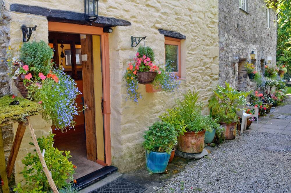 Photo of Outdoor in Buckfastleigh