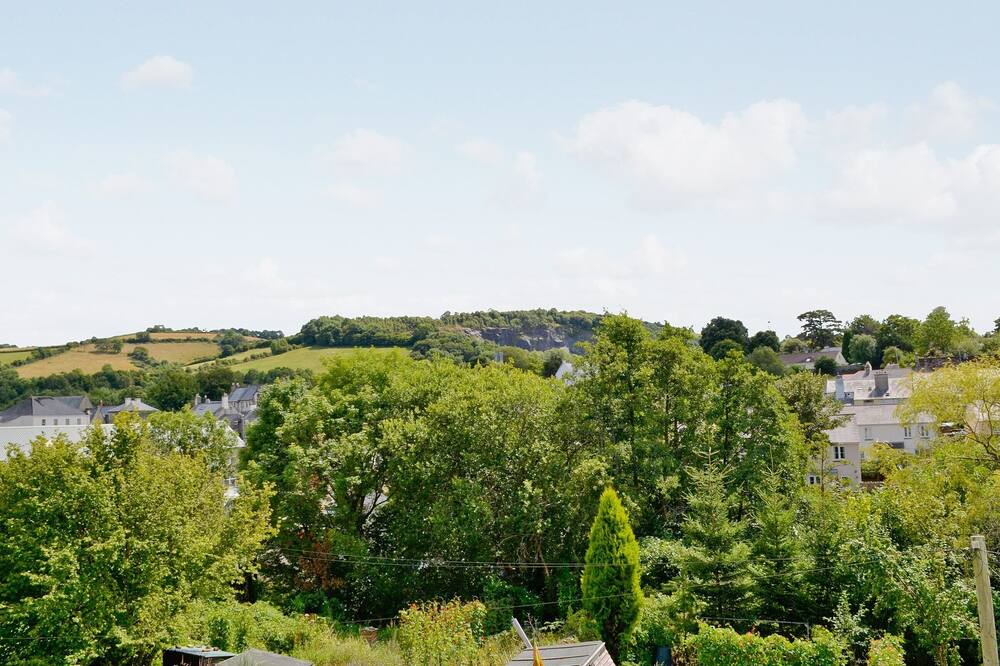 Photo of Others in Buckfastleigh