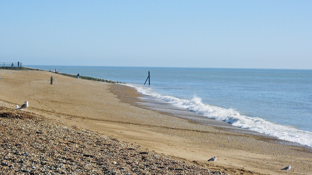 Photo of Others in Old Town Hastings