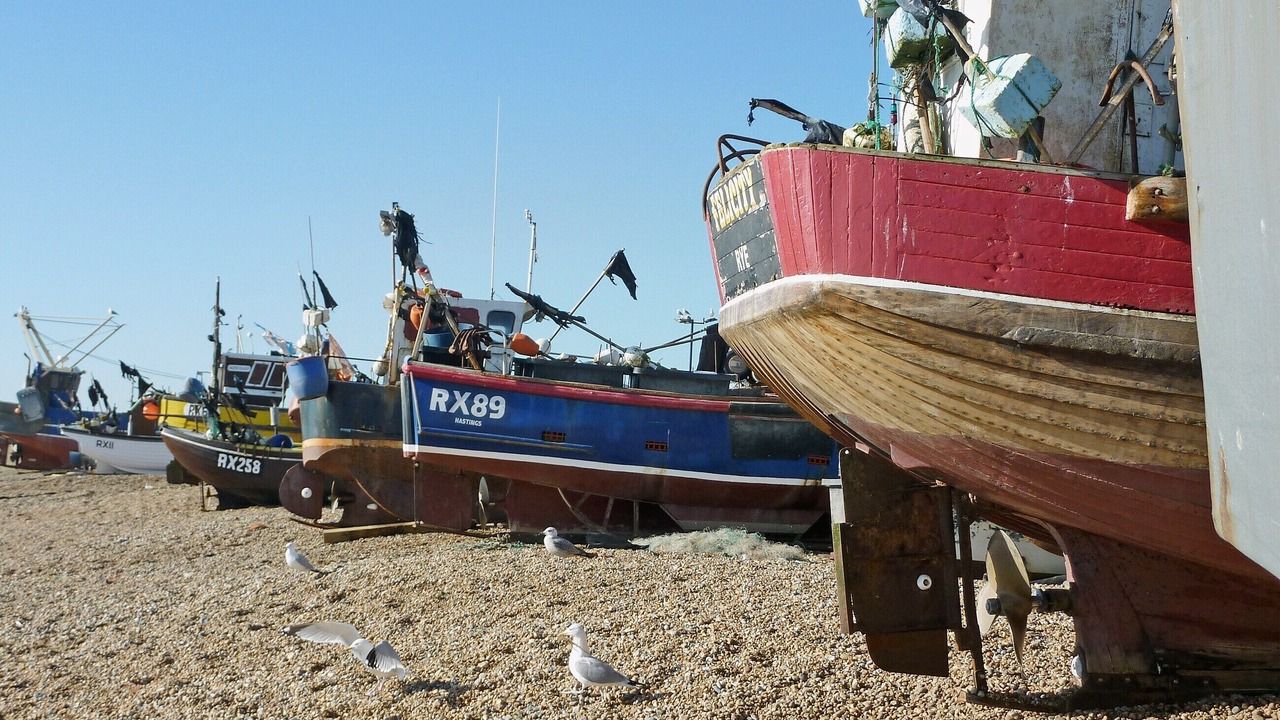 Photo of Others in Old Town Hastings