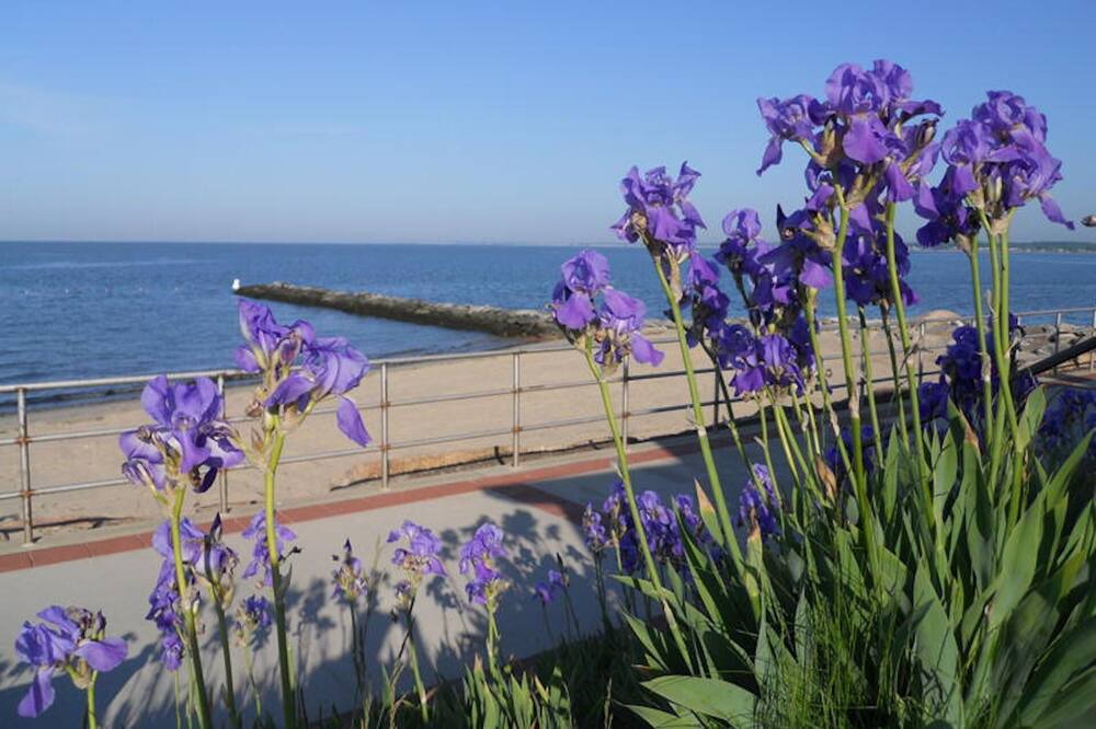 Photo of Others in Middlesex County