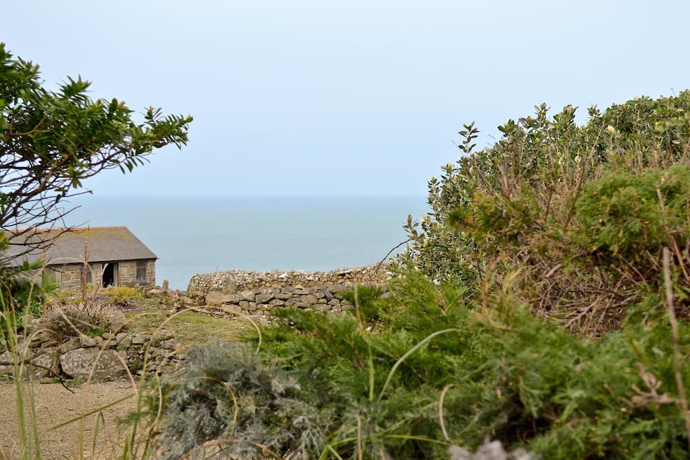 Photo of Others in Lower Boscaswell