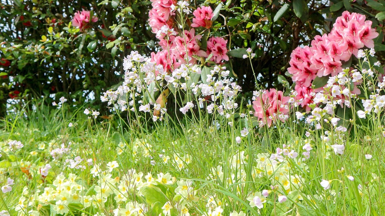 Photo of Outdoor in Hele