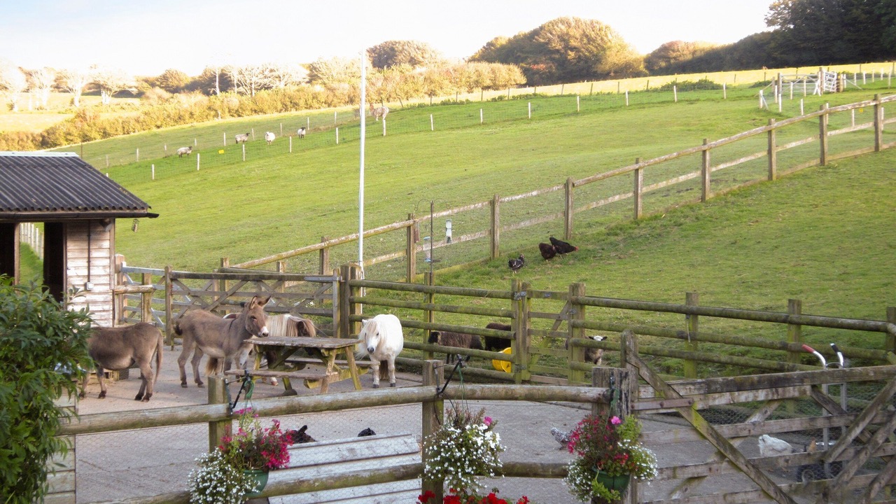 Photo of Outdoor in Hele